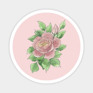 Pink Watercolor Rose Illustration Magnet